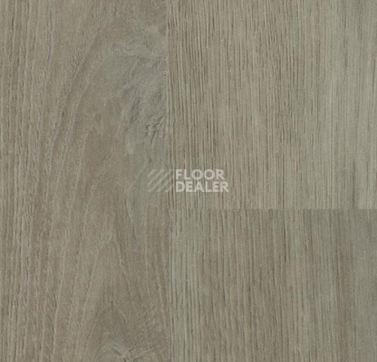 Линолеум Forbo SureStep Wood 18982 shadow oak фото 1 | FLOORDEALER